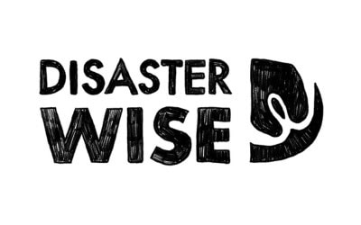 Disaster Wise