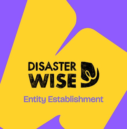 Disaster Wise. Entity Establishment.